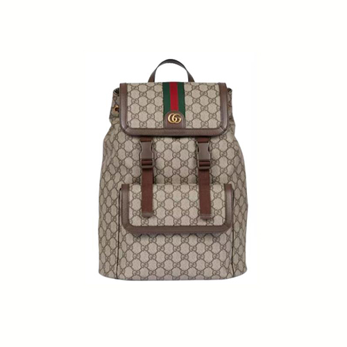 GUCCI-792114 9794 구찌 오피디아 스몰 GG 백팩