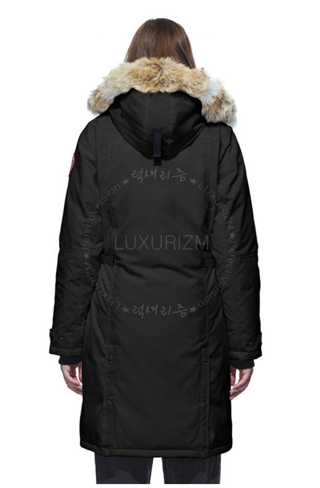 canada goose10-1021-4.jpg