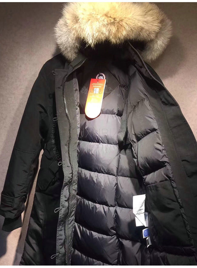 canada goose10-1021-6.jpg