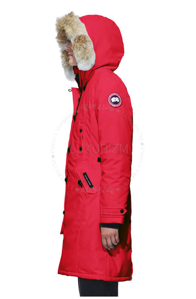 canada goose13-1021-3.jpg