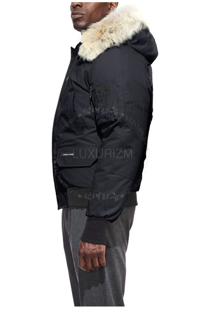 canada goose3-1023-2.jpg