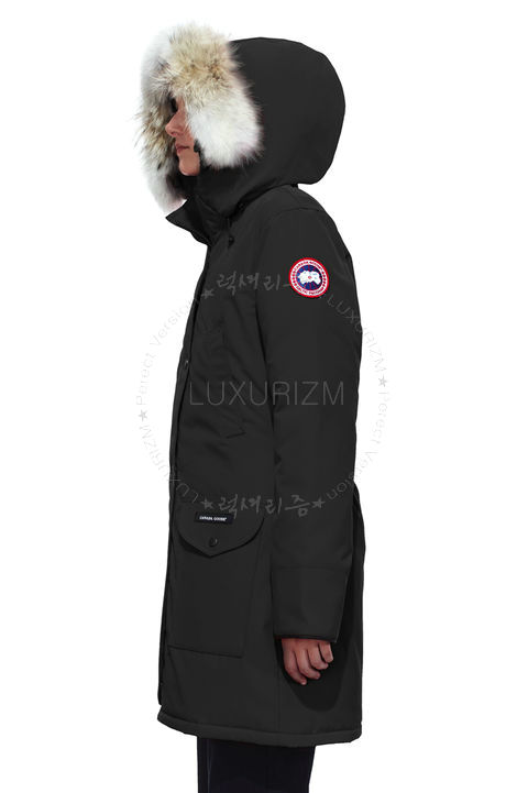 canada goose14-1103-2.jpg