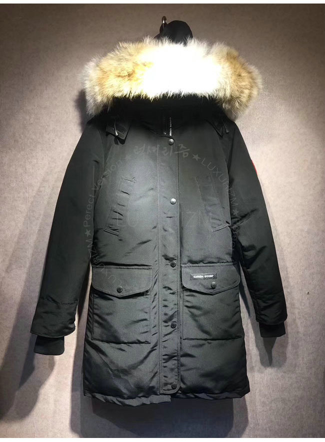 canada goose14-1103-4.jpg