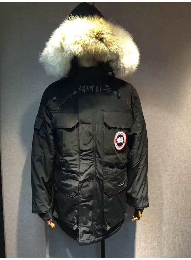 canada goose8-1103-5.jpg