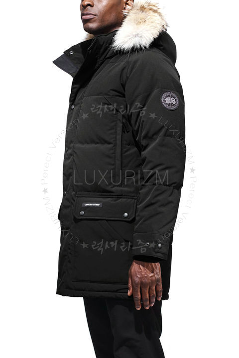 canada goose1-1107-2.jpg