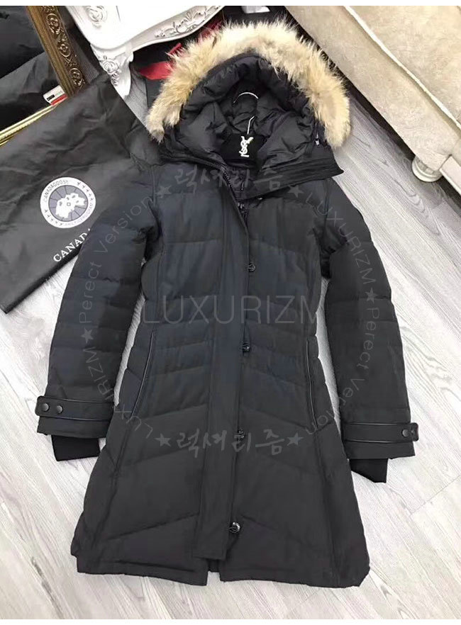 canada goose4-1107-5.jpg