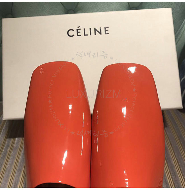 celine1-1211-7.jpg