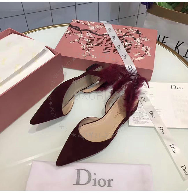 dior1-1225-4.jpg