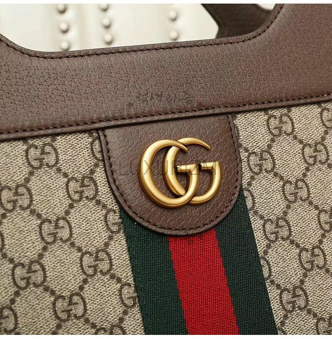 gucci3-1115-006.jpg